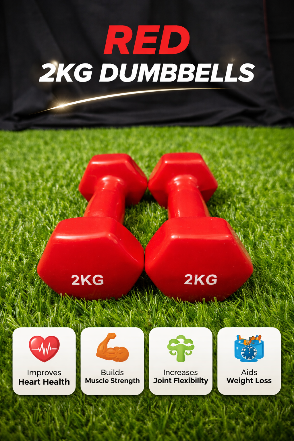 Vinyl Dumbell 2 kg pair